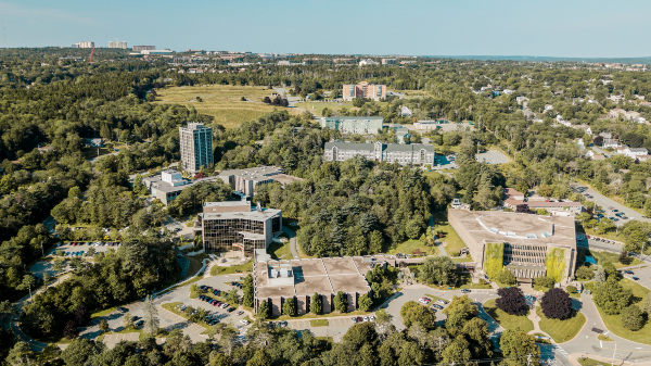 Mount Saint Vincent University